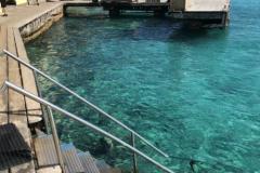 2019 Bonaire Trip