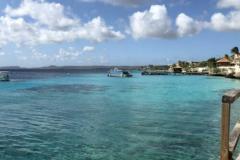 2019-02-20-15.22.45